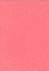 Spalvotas kartonas A2/170g rožinis