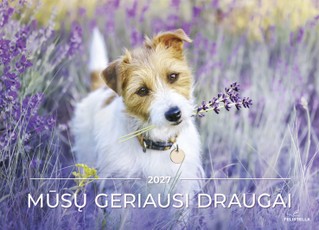 Sieninis kalendorius 2027. Mūsų geriausi draugai