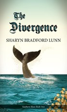 Divergence