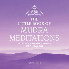 The Little Book of Mudra Meditations