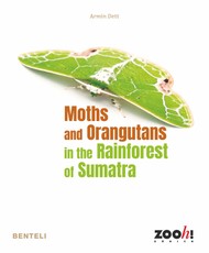 Moths and Orangutans in the Rainforest of Sumatra
