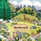 Discovering Nature on the Mountainside