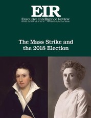 The Mass Strike and the 2018 Election