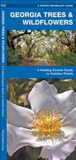 Georgia Trees & Wildflowers