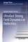 Ultrafast Strong Field Dynamics in Dielectrics