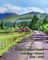 Takilma Common Ground Anthology