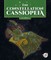 The Constellation Cassiopeia