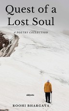 Quest of a Lost Soul