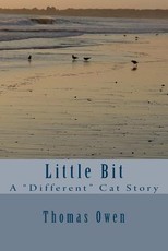 Little Bit
