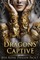 Dragons' Captive