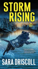 Storm Rising