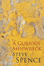 A Curious Shipwreck