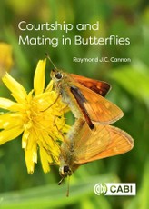 Courtship and Mating in Butterflies