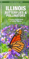 Illinois Butterflies & Pollinators