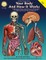 Your Body and How It Works, Grades 5 - 12