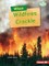When Wildfires Crackle