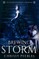 Brewing Storm - Book 5