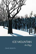 Ice Mountain