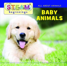Baby Animals