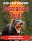 Did You Know? Tasmanian Devil