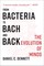 From Bacteria to Bach and Back: The Evolution of Minds