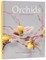 Orchids: Botanical Portraits