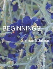 Beginnings