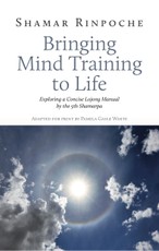 Bringing Mind Training to Life
