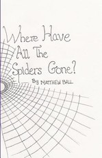 Where Have All The Spiders Gone?