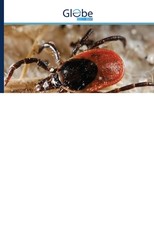 An Illustrated Guide to the Identification of Ticks