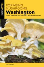 Foraging Mushrooms Washington
