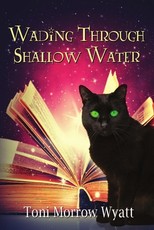 Wading Through Shallow Water