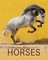 The World's Most Beautiful Horses / Die schönsten Pferde der Welt / Los caballos mas bellos del mundo
