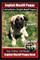 English Mastiff Puppy Training Book for English Mastiff Puppies by Boneup Dog Training