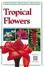 Tropical Flowers