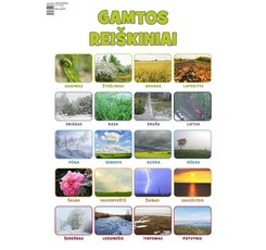 Plakatas „Gamtos reiškiniai“