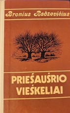 Priešaušrio vieškeliai (1979)