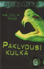 Paklydusi kulka