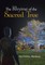 The Rhyme of the Sacred Tree