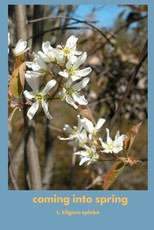 coming into spring