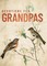 Devotions for Grandpas