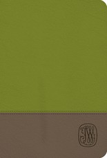 NRSV Wesley Study Bible