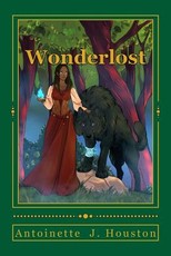 Wonderlost