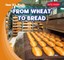 From Wheat to Bread