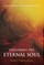 Exploring the Eternal Soul - Insights from the Life Between Lives
