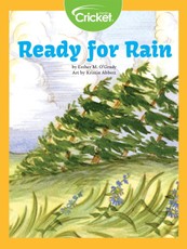 Ready for Rain
