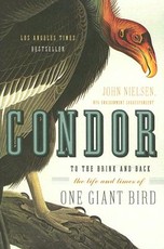 Condor