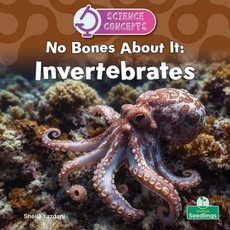 No Bones about It: Invertebrates