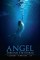 Angel Through the Storms