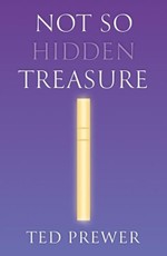 Not So Hidden Treasure